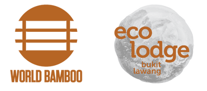World Bamboo Organisation and Eco Lodge