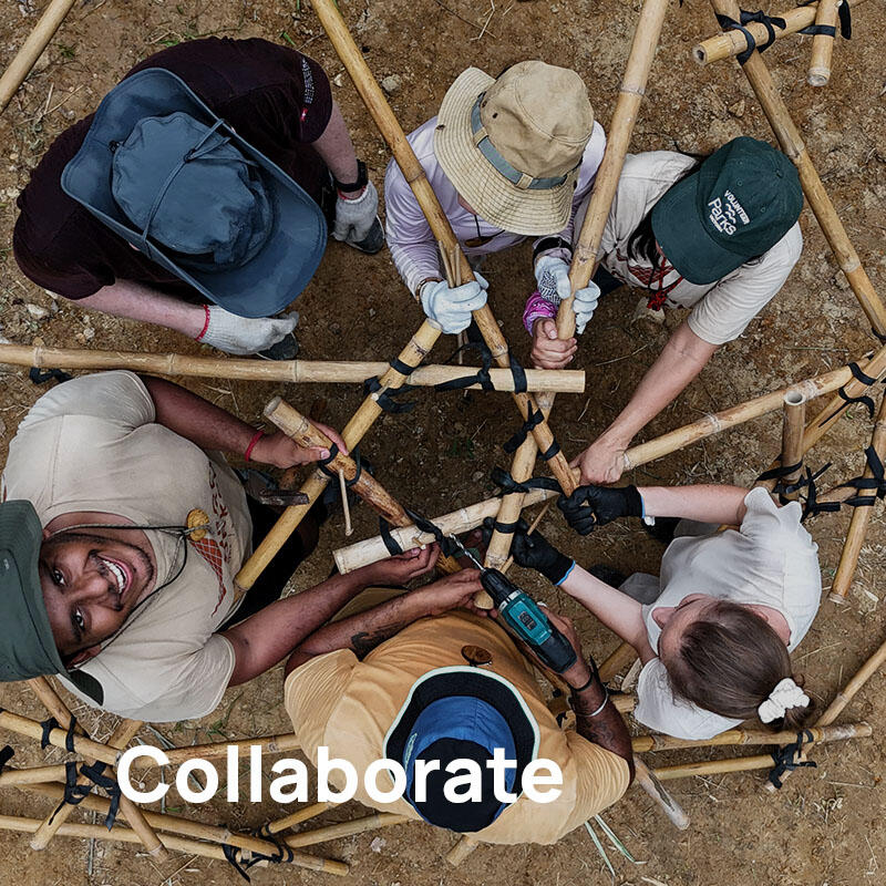 Collaborate